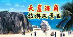 大鸡巴日逼逼护士日韩海南三亚-天崖海角旅游风景区